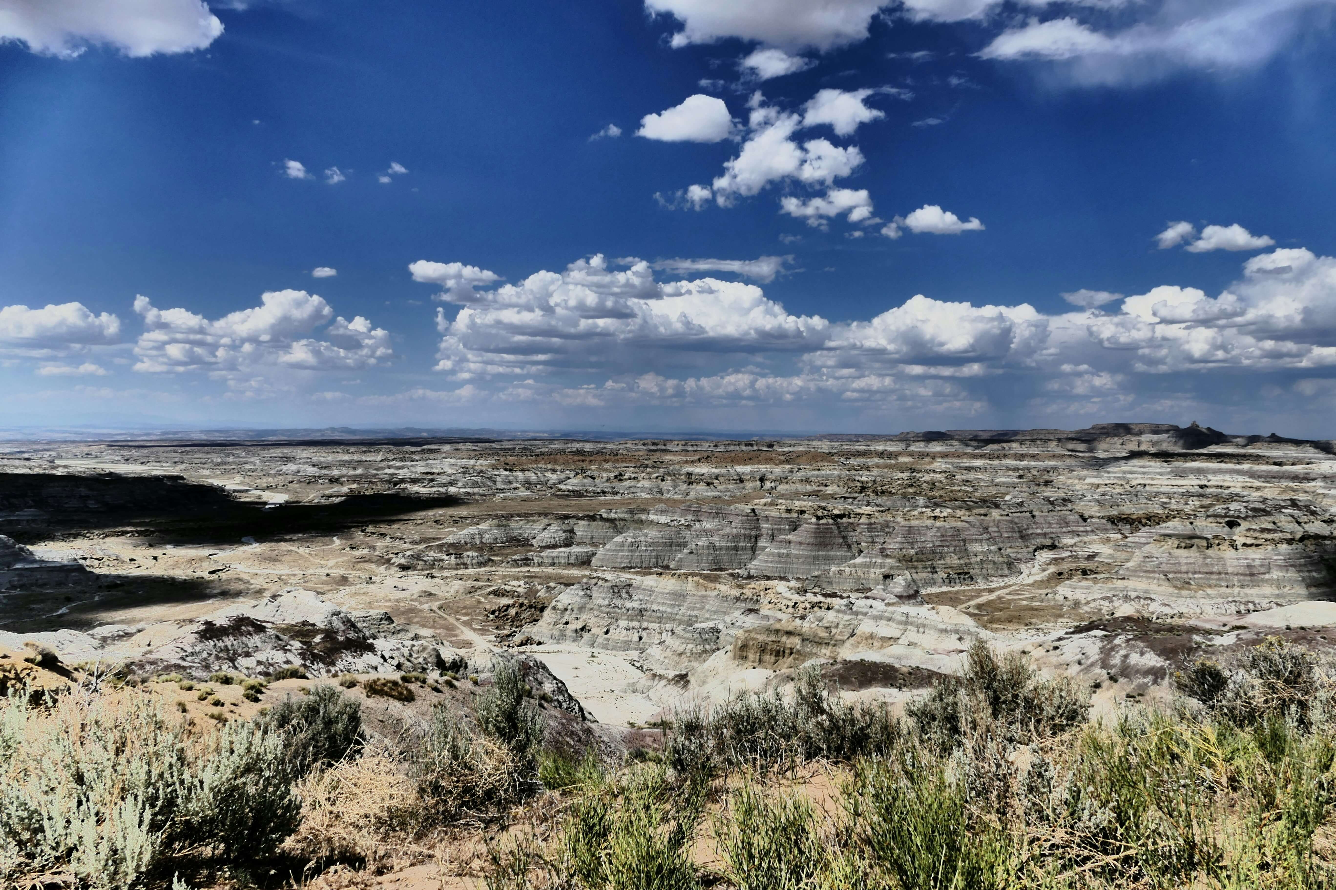 New Mexico Landscape